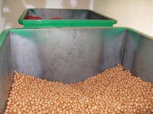 Growing the macadamia industry - Torere Macadamias