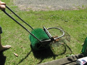 Mini nut harvester