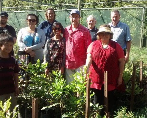 Macadamia field days for new growers - Torere Macadamias