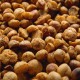 Roasted Macadamias - Torere Macadamias