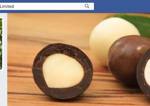 toreremacadamias-facebook